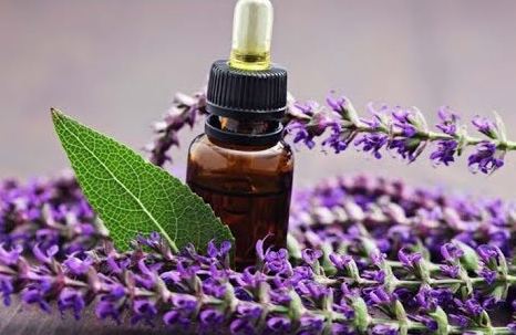 Масло шалфея